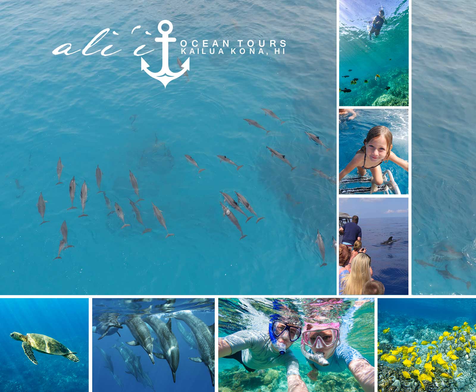 Ali'i Ocean Tours - Kailua Kona, Hawaii